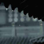 image-yagisgif
