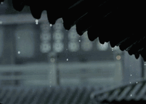 image-yagisgif