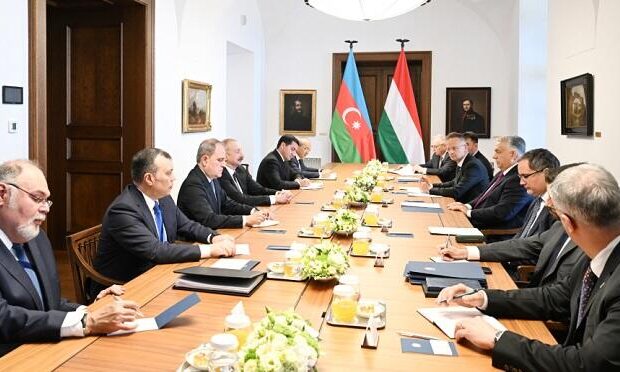 image-eliyev-orban-genish