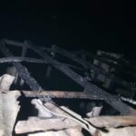 image-goycay3