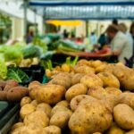 image-kartofffff