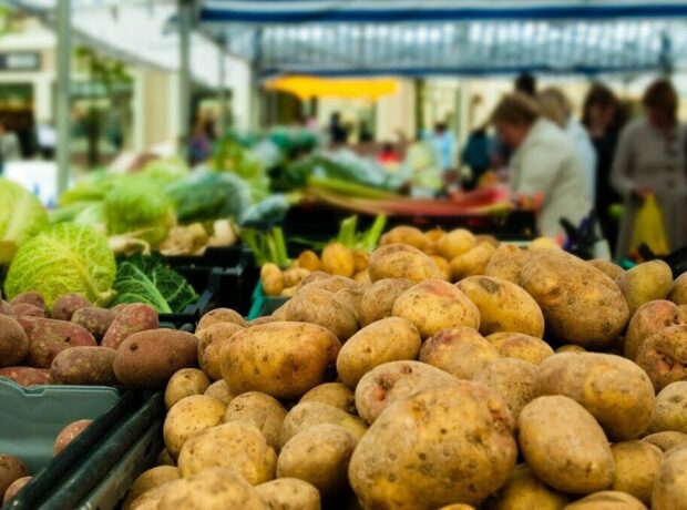 image-kartofffff
