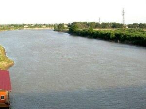 image-kur-cayi1