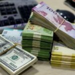 image-manatdollar