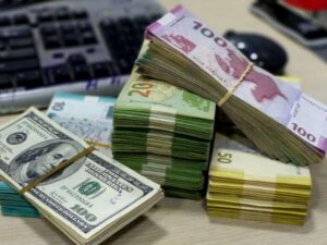 image-manatdollar