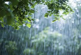 Milli Hidrometeorologiya Xidməti xəbərdarlıq etdi 