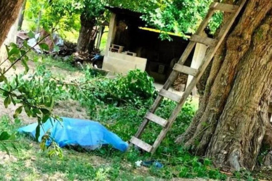 70 yaşlı kişi ağacdan yıxılaraq ölüb