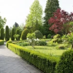 image-park11
