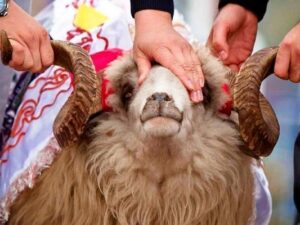 image-qurban_2