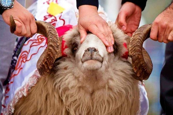 image-qurban_2