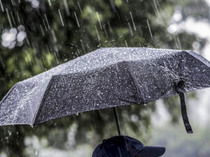 image-yagis-hava11