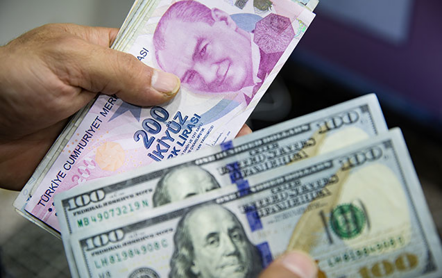 İki valyuta ucuzlaşdı, dollar isə… 