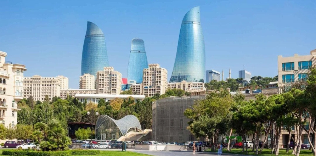 Bakıda insanlar təşviş içində – küçəni bürüyən bu canlılar nədir? – FOTO