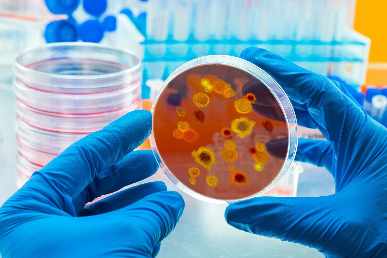 Alimlər nəhəng virus tapdılar: Görün quyruğu nə boydadır