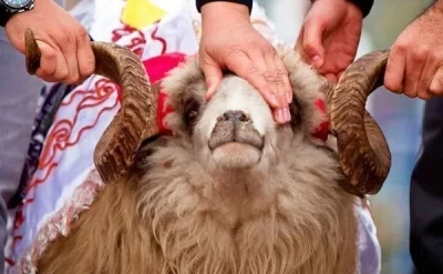 Pul yollayıb qurban kəsdirmək olarmı? – Bilmədiyiniz vacib qaydalar