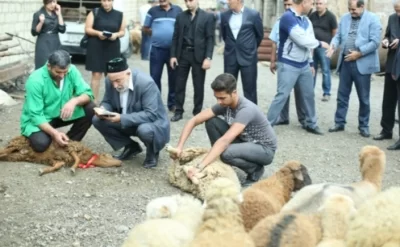 Qurban kəsərkən edilən böyük səhvlər – İllərdir yanlış bilirmişik