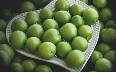 Alçanın bu xeyrini bilirdiniz?
