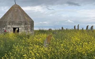 Ağdərə və Ağdamda yeni arxeoloji abidələr aşkar edilib - FOTO