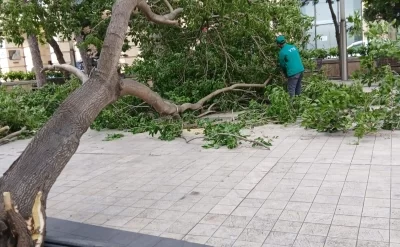 Bakıda güclü külək: