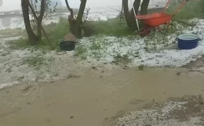 Qubanın dağlıq kəndlərinə dolu düşdü: Təsərrüfatlara ziyan dəydi - FOTO-VİDEO
