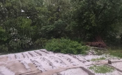 Şahbuzun Kükü kəndinə dolu yağdı