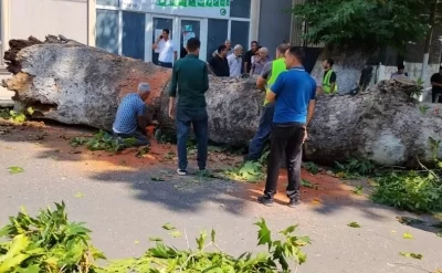 Göyçayda çinar aşdı və avtomobili bu hala saldı
