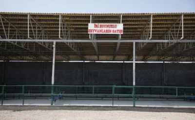 Binədə yeni heyvan bazarı fəaliyyətə başladı – FOTOLAR