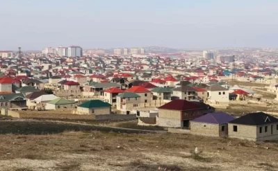 Havalar isindikcə üzə çıxırlar: Bakıda da yayıldı - Diqqət etməsəniz...