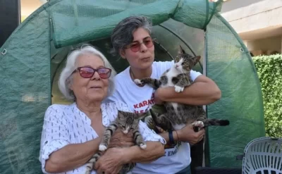 Altı milyonda bir görülən hadisə - “Erkək” pişik balaladı – FOTO