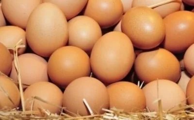 Yumurta bu səbəbdən kəskin ucuzlaşıb - AÇIQLAMA