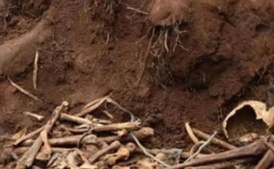 Ağdamda qazıntı zamanı skelet qalıqları tapıldı