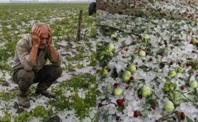 Əkin sahəsinə, həyətinə və bağına dolu düşənlərin nəzərinə! –