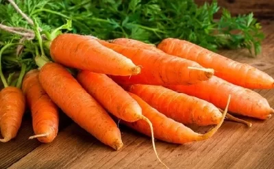 Alimlər kökün ömrü uzatdığını sübut etdilər