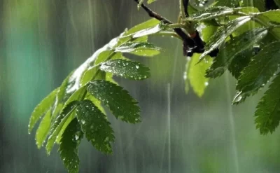 Həftənin ilk iş günü hava belə olacaq