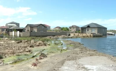 “Ağcaqanad, qurbağa əlindən oturmaq olmur” – Video