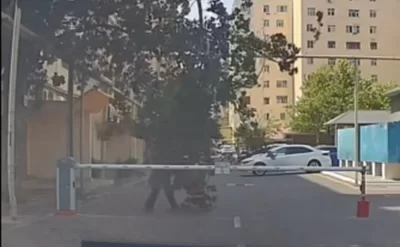 Sınan budaq qadının üzərinə belə düşübmüş