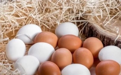 1 qəpiyə satılan yumurta indi 38 qəpik oldu?