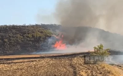 Göyçayda hektarlarla ərazi yandı