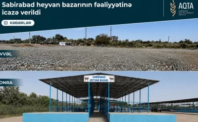 Sabirabad heyvan satışı bazarı