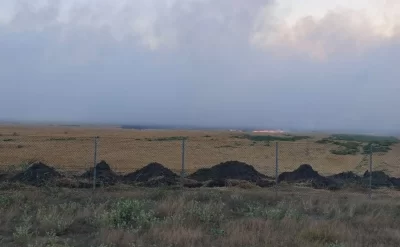 Masallıda zibil poliqonunda başlayan yanğın ətraf ərazilərə YAYILDI - FOTO