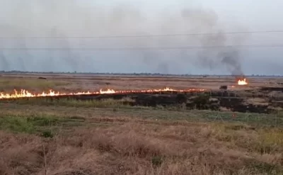 Türkiyədə meşə yanğınları ilə bağlı