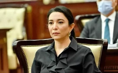 Ombudsmandan beynəlxalq