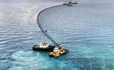 Xəzərə bu canlıların hücumu başlayıb? –