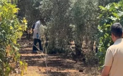 Gənc oğlanın əlləri arxadan bağlanmış
