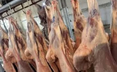 Bazardakı dondurulmuş ətləri alarkən BU SƏHVİ ETMƏYİN: Xəstəlik riskinə qarşı xəbərdarlıq!
