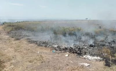 Dörd rayonda yanğına səbəb olan şəxslər