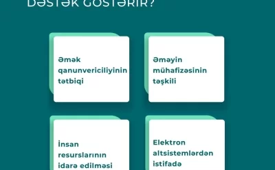 “DOST Müfəttiş” layihəsi işəgötürənlərə necə dəstək göstərir?