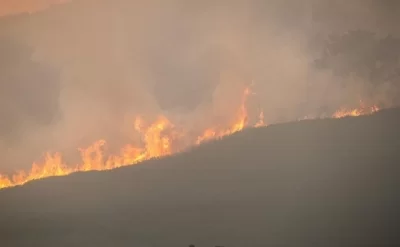 Almaniyanın bəzi bölgələrində meşə yanğınları SÖNDÜRÜLDÜ