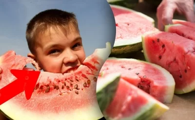 Məşhur həkimdən qarpızı tumlu yeyənlərə xəbərdarlıq