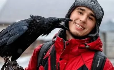 Tanınmış bloger qəfildən